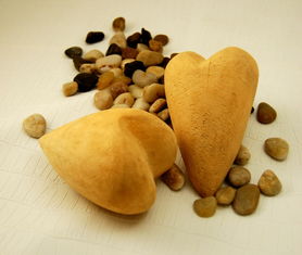 (符石守护者刷符石)符石守护者bug刷金币:最新攻略教程与技巧大揭秘 (符石守护者刷符石)符石守护者bug刷金币:最新攻略教程与技巧大揭秘