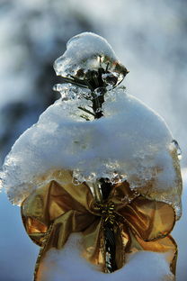 (凛冽寒冬挑战部落冲突)冰雪覆盖的世界，凛冬部落阵容搭配攻略大揭秘！