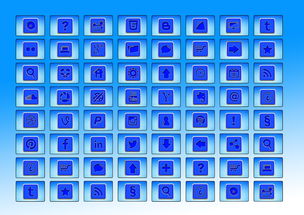 2024新澳正版资料最新更新|精准解答解释落实_手机版2.982