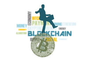 (虚树神骸-虚无主义)虚树迷宫台服：挑战无尽脑洞，探秘最新游戏技术和创新玩法