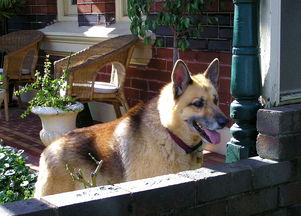 致敬经典，重塑传奇：黑神话悟空荣获TGA年度提名，展现了中国原创单机游戏的实力与进步