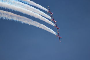 (妖魔道下载好恐怖)妖魔道单机下载:探索神秘的妖魔世界,畅享刺激冒险之旅! (妖魔道下载好恐怖)妖魔道单机下载:探索神秘的妖魔世界,畅享刺激冒险之旅!