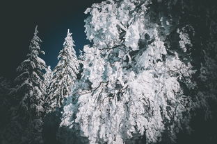 (神奇动物2百度云资源链接)神奇动物2电影百度网盘:全高清资源分享,让您畅快欣赏 (神奇动物2百度云资源链接)神奇动物2电影百度网盘:全高清资源分享,让您畅快欣赏