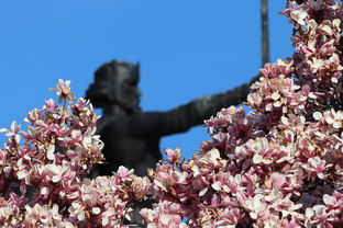 (《斗罗大陆在线观看免费》全集高清完整版)斗罗大陆在线观看免费播放高清画质全集分享平台