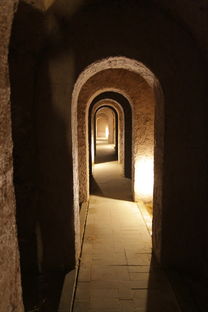 (决斗大师2018樱花动漫)决斗大师动漫在线观看,怀旧经典精彩无限,追忆少年时光 (决斗大师2018樱花动漫)决斗大师动漫在线观看,怀旧经典精彩无限,追忆少年时光