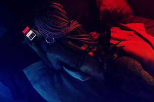 (《毁灭公爵3d》)浅析经典游戏毁灭公爵3D的创新设计与玩家体验影响