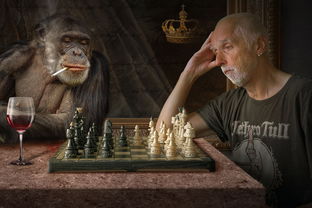 野兽领主新世界：探索未知大陆，挑战强大敌人，一起来看看这个游戏到底有多好玩！
