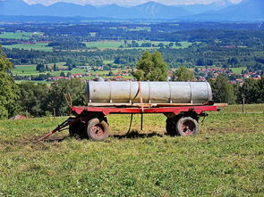 (武之影魅在线玩)武之影魅之王者之战:绝世英雄的荣耀与荆棘之路 (武之影魅在线玩)武之影魅之王者之战:绝世英雄的荣耀与荆棘之路