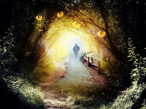 (cos大乱斗百科)COS学园大乱斗：动漫角色激烈对抗，谁将脱颖而出？