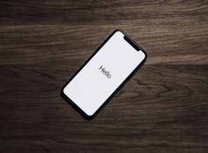 (电脑怎么苹果手机连接电脑上网设置)如何设置iPhone通过电脑连接上网的详细步骤指南与注意事项 (电脑怎么苹果手机连接电脑上网设置)如何设置iPhone通过电脑连接上网的详细步骤指南与注意事项