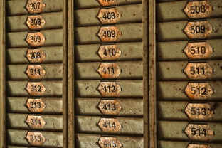 熊熊面包房安静书：揭秘如何在繁忙的面包房中寻找内心的安静与书籍的力量