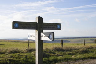 (使魔计划游戏)使魔计划PVP:挑战他人,提升技能,征服战场,战略策略独具一格 (使魔计划游戏)使魔计划PVP:挑战他人,提升技能,征服战场,战略策略独具一格