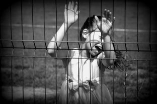 (筑梦居价格)筑梦居公寓官网：梦想起步，家园天地，共享美好生活。