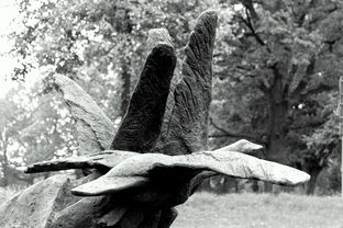 (海战前线2中文破解版下载)海战前线买号攻略:如何在游戏中找到可靠的账号购买渠道? (海战前线2中文破解版下载)海战前线买号攻略:如何在游戏中找到可靠的账号购买渠道?