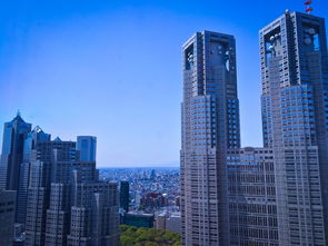 2024澳门免费资料,正版资料|探索城市中的未知魅力_HD品.9.372