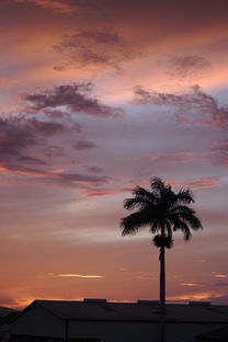 (雄兵连游戏为什么停服)雄兵连手游为何停服，怎么了？停服原因和解决办法都解析