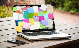 对于初学者的全面指南：电脑技术入门自学教材的选择与使用方法