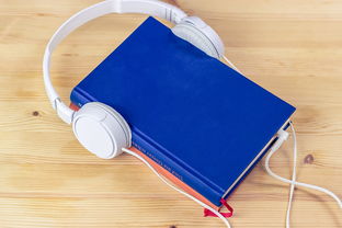 (掌阅ireader阅读器官网)掌阅iReader：全新数字阅读体验引领未来阅读潮流