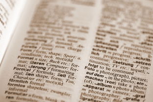 (2046网游)尝试了解2046游戏论坛：找到最新攻略和热门讨论