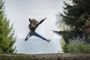 勇敢的冒险——出发吧麦芬剑士：浸入程式学习的神秘世界探索知识宝库