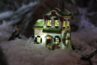 (布偶猫的秘密)探索布偶的梦秘密:揭开那些不为人知的成就与背后的故事 (布偶猫的秘密)探索布偶的梦秘密:揭开那些不为人知的成就与背后的故事