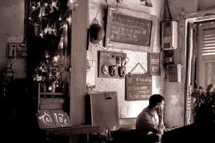 (中餐厅第八期)《中餐厅第八季超清》震撼来袭,美味继续延续 (中餐厅第八期)《中餐厅第八季超清》震撼来袭,美味继续延续