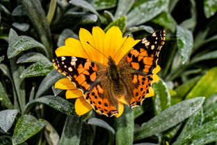 (狂暴传奇攻略)狂暴传奇福利boss位置揭秘：全图详解每个地点的藏宝点