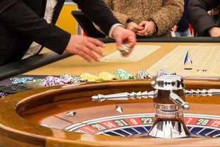 红色警戒所有单位介绍：严防控制，全力备战，共同抗击风险挑战