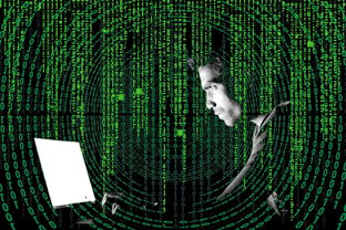 全面解析黑色洛城：攻略合集与游戏秘籍，助你轻松征服虚拟世界