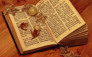 DungeonQuest汉化版：沉浸式冒险体验，带你进入一个充满惊喜和挑战的奇幻世界