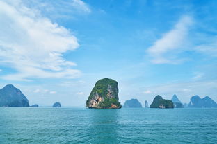(海蛇科普)探索海蛇传奇的欢乐世界：令人欢笑的海之旅与神秘生物们