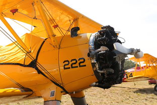 (航空大亨5完整版免费下载)航空大亨5：打造属于你的全球航空帝国，体验极致飞行经营乐趣