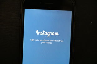 探讨数字浪潮之下像素大陆重塑品牌形象：正式更名为'元宇宙'化名启新篇