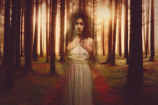 重回乱世,三国志幻想大陆独家揭秘:世界魔将阵容悍将如云,诠释超越时空的战争策略 重回乱世,三国志幻想大陆独家揭秘:世界魔将阵容悍将如云,诠释超越时空的战争策略