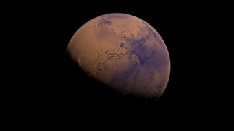 (宠物探索技能怎么搭配)探索宠物星球BT官方正版下载的神秘世界
