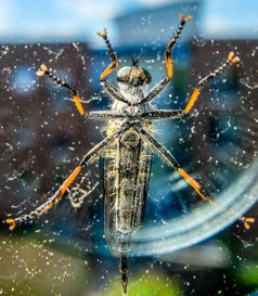 (歌词 醉赤壁)醉赤壁歌词:悠悠长夜思君情,酒醉红颜泪满床 (歌词 醉赤壁)醉赤壁歌词:悠悠长夜思君情,酒醉红颜泪满床