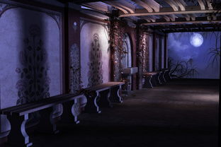 (马踏花归)马踏乱世 花旗风：穿越时空的梦幻之旅