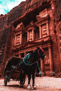 (黑猫奇闻社第二部怎么突然消失了呢)黑猫奇闻社第二部怎么突然消失了? (黑猫奇闻社第二部怎么突然消失了呢)黑猫奇闻社第二部怎么突然消失了?