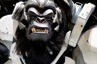 探索游戏角色死亡爱丽丝：作为力量象征她如何影响玩家决策与情感体验