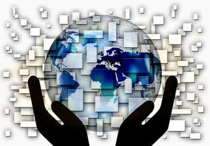 (世界大战 1914)绿色先锋的勇士：详解世界大战1914中的环保运动与独特影响