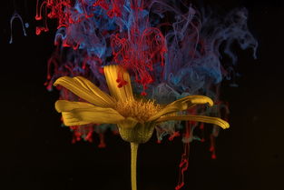 (石器时代金虎任务攻略)石器时代觉醒:一天能出多少金贝古代考古发现揭秘 (石器时代金虎任务攻略)石器时代觉醒:一天能出多少金贝古代考古发现揭秘