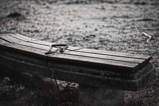 (探寻神秘茅山道士的游戏之旅是什么)探寻神秘茅山道士的游戏之旅