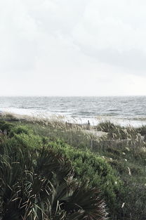 帝王霸业李恪免费阅读：揭示历史背后的权谋与斗争，探索李恪的传奇人生