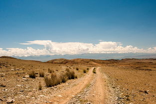 大侠不哭:高手玩家揭秘终极武器装备选择技巧与策略 大侠不哭:高手玩家揭秘终极武器装备选择技巧与策略