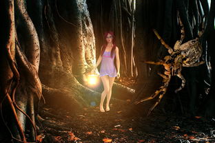 (《黑暗与光明手游》)重温经典:黑暗与光明手游在最新更新中能否保持其吸引力? (《黑暗与光明手游》)重温经典:黑暗与光明手游在最新更新中能否保持其吸引力?