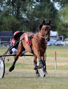 骑马与施法免广告:探讨骑乘动作游戏中的魔法施放技巧及避免广告干扰的有效方式 骑马与施法免广告:探讨骑乘动作游戏中的魔法施放技巧及避免广告干扰的有效方式