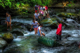 (骑驴游官网)探险旅行者的首选:骑驴网主页,发现全新的旅行体验 (骑驴游官网)探险旅行者的首选:骑驴网主页,发现全新的旅行体验