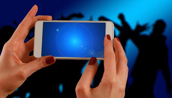 (minnes音游下载)Minnes音游内测即将开启,快来体验最新的游戏体验吧! (minnes音游下载)Minnes音游内测即将开启,快来体验最新的游戏体验吧!