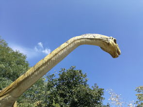 (恐龙战争4只恐龙)恐龙战争4:时空交错的史诗对决,新种群的崛起引发全球混乱 (恐龙战争4只恐龙)恐龙战争4:时空交错的史诗对决,新种群的崛起引发全球混乱