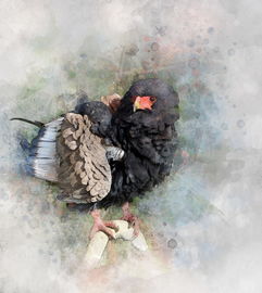 银河境界线为何突然关服?玩家心痛剧终,游戏经营背后真相曝光 银河境界线为何突然关服?玩家心痛剧终,游戏经营背后真相曝光